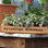 Petersham Nurseries Cafe and Teahouse