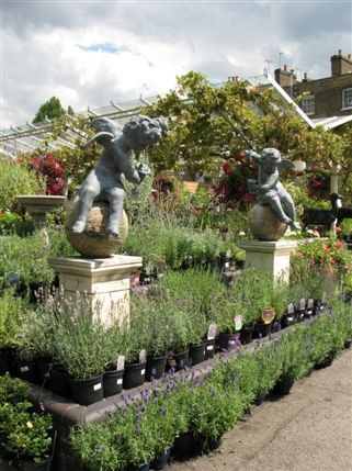 Clifton Nurseries