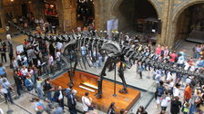 Extinction: Not the End of the World?