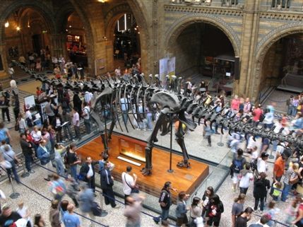 Natural History Museum - The Central Hall