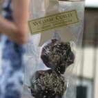 William Curley Patissier & Chocolatier