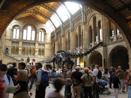 Natural History Museum - The Central Hall