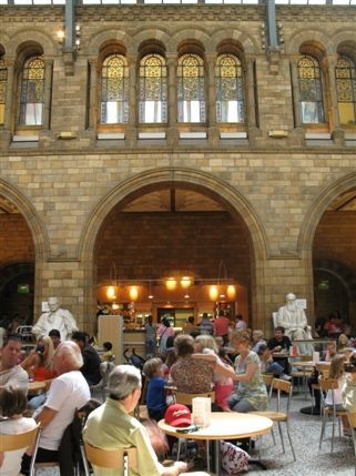 Natural History Museum - The Cafe