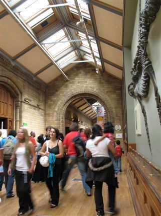 Reece Mews - The Fossil Marine Reptiles in the Green Zone Reece Mews - The Fossil Marine Reptiles in the Green Zone