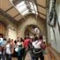 Natural History Museum - The Fossil Marine Reptiles in the Green Zone
