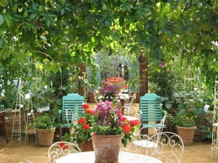 Petersham Nurseries Cafe and Teahouse