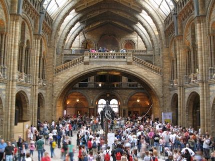 Natural History Museum - The Central Hall from the back of the building