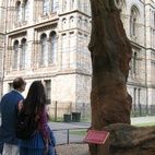 Natural History Museum hotels title=
