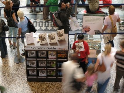 Natural History Museum - Souvenir Guides for sale