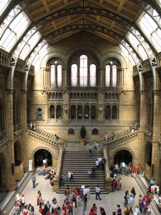 Natural History Museum - View of the back of the Central Hall