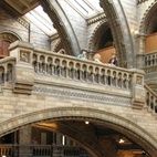 Natural History Museum Natural History Museum