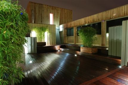 The Roof Terrace