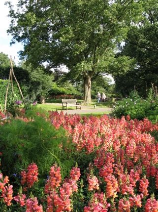 Richmond Park
