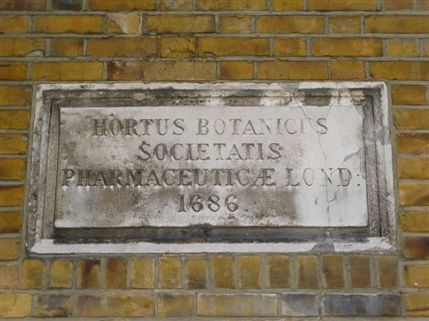 Chelsea Physic Garden - "Hortus Botanicus Societatis Pharmaceauticae Lond 1686"