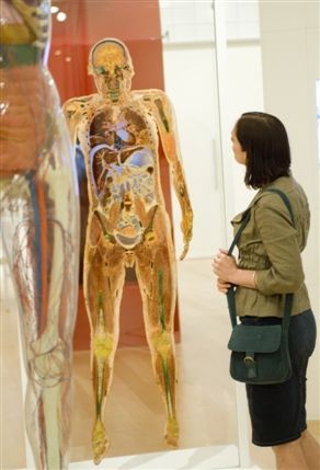 Wellcome Collection