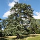 Richmond Park hotels title=