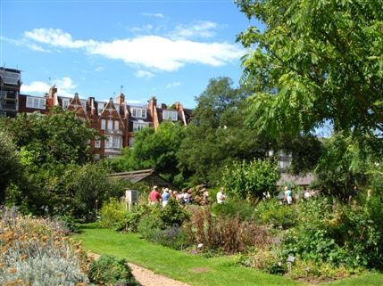Chelsea Physic Garden - View of the houses surrounding the Garden