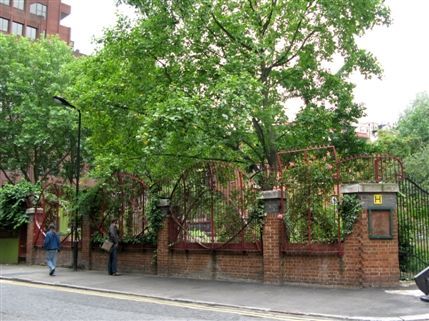 Phoenix Garden
