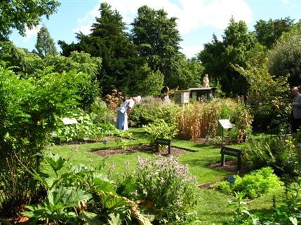 Chelsea Physic Garden - Garden of Medicine
