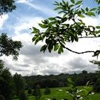 Hampstead Heath