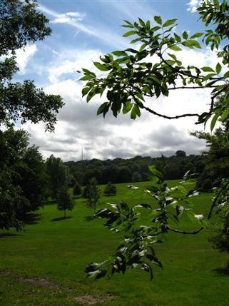 Hampstead Heath Hampstead Heath