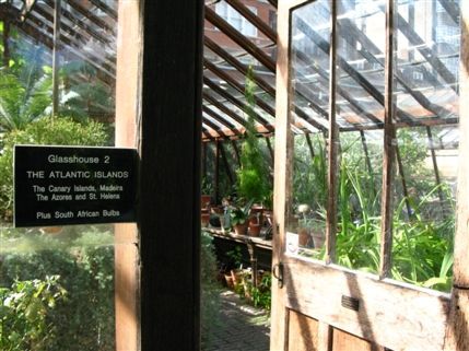 Chelsea Physic Garden - The Atlantic Islands Glasshouse