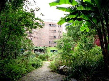 Phoenix Garden