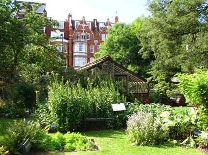 Chelsea Physic Garden