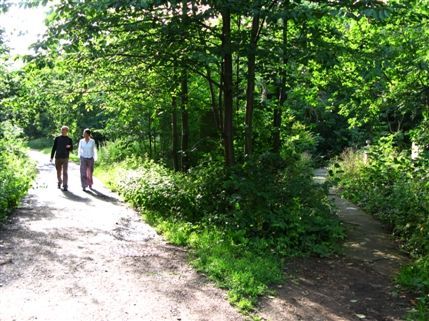 Abney Park Cemetery & Nature Reserve