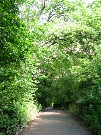 Hampstead Heath Hampstead Heath