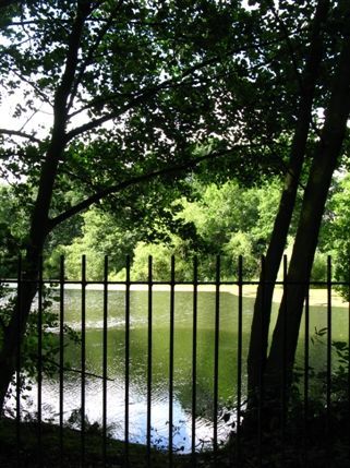 Hampstead Heath - Stock Pond Hampstead Heath - Stock Pond