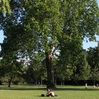 Regent's Park