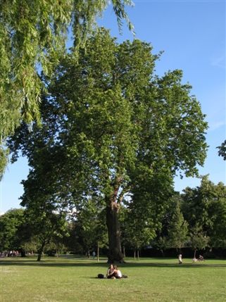 Regent's Park