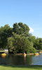 Regent's Park photo Regent's Park photo