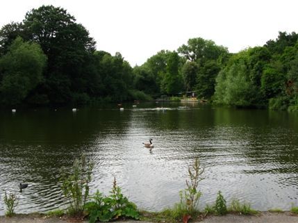Hampstead Square - Mixed bathing pond Hampstead Square - Mixed bathing pond