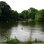 Hampstead Heath Swimming Ponds