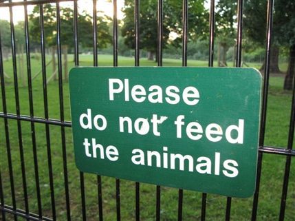 Clissold Park