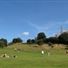 Greenwich Park