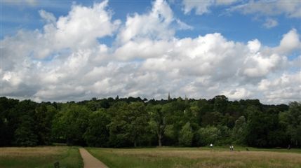 Hampstead Heath Hampstead Heath