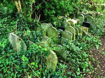 Abney Park Cemetery & Nature Reserve