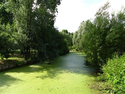 Clissold Park