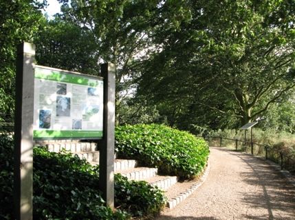 Richmond Park - King Henry's Mound