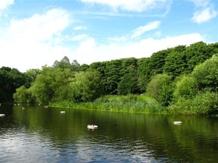 Hampstead Heath Swimming Ponds - Kenwood ladies' bathing pond Hampstead Heath Swimming Ponds - Kenwood ladies' bathing pond