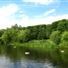 Hampstead Heath Swimming Ponds