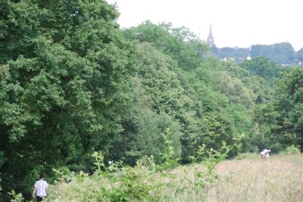 Hampstead Heath Hampstead Heath