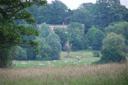 Hampstead Heath Hampstead Heath