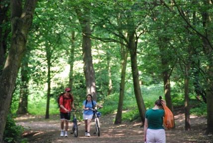 Hampstead Heath Hampstead Heath