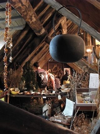 Old Operating Theatre Museum and Herb Garret