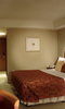 Park Plaza Victoria Hotel London London