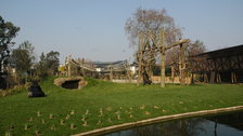 Luxury Camping at ZSL London Zoo - ZSL London Zoo